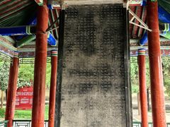 -西安碑林博物馆