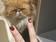 -藏猫猫咖啡主题馆(中央大道店)