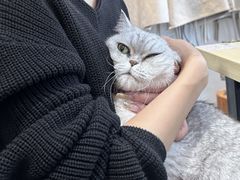-Oasis绿洲银饰珍珠手作diy(壹方城店)
