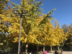 -长辛店二七公园