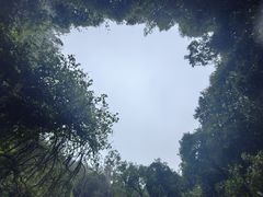 -海口火山口国家地质公园
