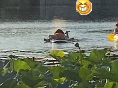 -WhaleSports户外水上运动俱乐部(朝阳公园店)
