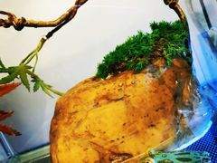 -乐宠宠物店(世纪金源店)