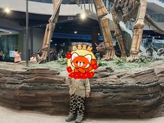 -辽宁古生物博物馆