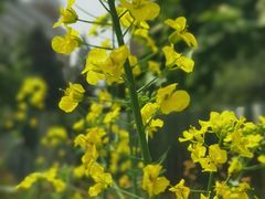 -BHG生活超市(安贞店)