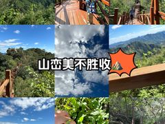 -大岭沟猕猴桃谷风景区