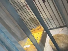 -星空失恋博物馆(双子塔旗舰店)