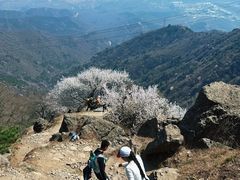 -北京鹫峰国家森林公园