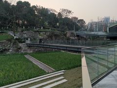 -百林公园-两江幸福广场