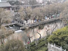 -解放阁