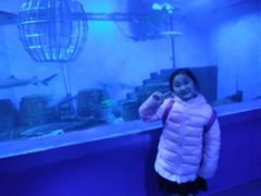 -皇家极地海洋世界-售票处