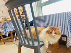 -氷冰凉刨冰甜品(北京路店)