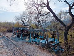 -北京西山国家森林公园