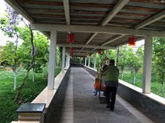 -大理地热国