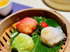 -点都德·毕德寮