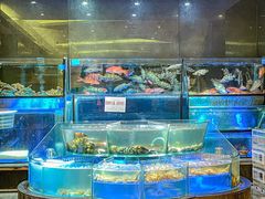 -金翠皇宫粤菜·点心·海鲜(翡翠店)
