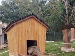 -杭州开元森泊度假乐园