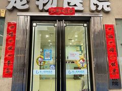 -特一安24小时宠物医院·骨科·中兽医
