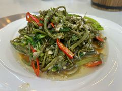 -野菌王牦牛肉汤锅
