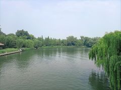 -济南大明湖景区