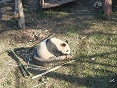 -棋盘山风景区