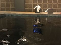 -和园景逸大酒店朗月汤泉