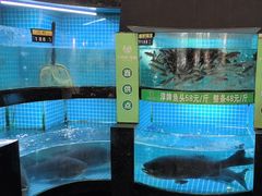 -千岛湖小鱼儿·淳安匠心农家菜