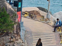 -广东惠东海龟国家级自然保护区