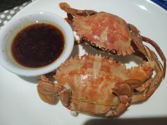 -339旋转餐厅(天府熊猫塔店)