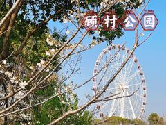 -顾村公园