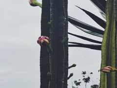 -悦哉·派对·草坪婚礼·围炉煮茶(三圣乡店)