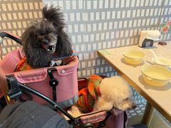 -陶兰居·香港饭店·海鲜大排档(圆融时代广场店)