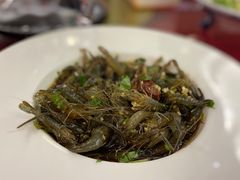 -光头老板·本帮菜