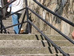 -上海佘山国家森林公园西佘山园