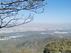 -紫金山山顶公园