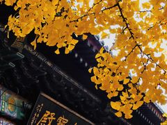 -红螺寺