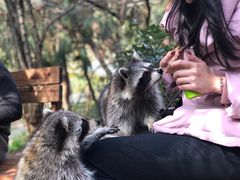 -昆明动物园