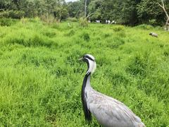 -普洱太阳河森林公园