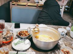 -禄婶鸡煲·打边炉
