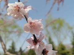 -洨河生态公园
