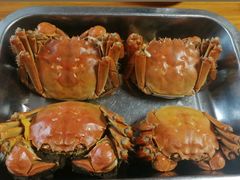 清蒸大闸蟹-魏四小鱼锅贴王