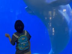 -泉城欧乐堡海洋极地世界