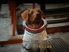 -万达影城(南宁万达茂IMAX店)