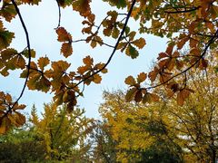 -国家植物园南园