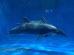 -多彩贵州城极地海洋世界