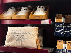 -九又四分之三站台哈利波特商店