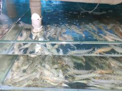 -蟹谢蒸鲜自助餐厅
