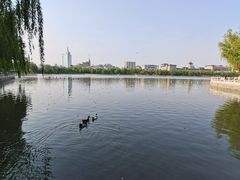 -莲花池公园