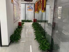 -新航道雅思托福·留学·考研培训(人民广场校区)
