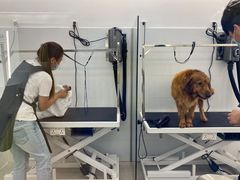 -comecome来吧宠物(奥克斯中心店)